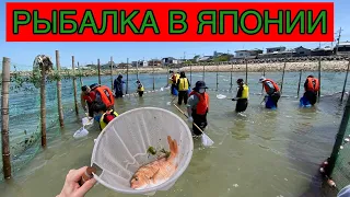 Unusual fishing in Japan