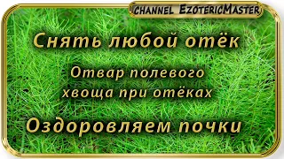 Снять отёк. Отвар полевого хвоща при отёках. Оздоровляем почки.