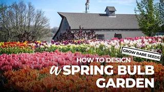 How To Design a Spring Bulb Garden