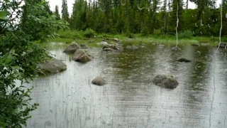 🌧️ЗВУКИ ДОЖДЯ НА ОЗЕРЕ | Шум дождя, гром, гроза.