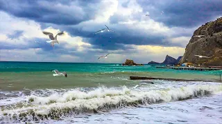 Seagulls, ocean waves and beautiful violin music / Чайки, волны океана и красивая музыка скрипки