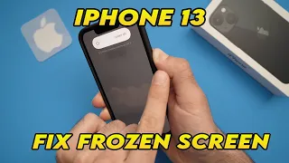 iPhone 13 & 13 Mini : Fix Frozen Screen With Force Restart