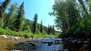 утро, ручей, шум воды, настроение, музыка леса, хороший сон, релакс