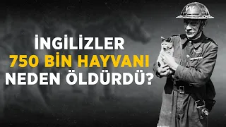 2. Dünya Savaşı'nın Bir Başka Korkunç Yüzü