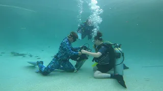 PADI Dive Master Gear Exhcange