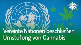 Vereinte Nationen beschließen Umstufung von Cannabis | DHV-News #273