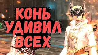 КОНЬ ВСЕХ УДИВИЛ Lineage 2 Essence