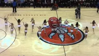 Toronto Raptors Mascot