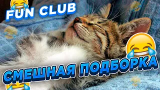 ✅✅✅ ЛУЧШИЕ ПРИКОЛЫ ЗИМЫ  2022/ ПОПРОБУЙ НЕ ЗАСМЕЯТЬСЯ / ПРИКОЛЫ /CМЕШНЫЕ ЖИВОТНЫЕ /10 МИНУТ СМЕХА😂😂😂