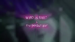 Who is she x The Perfect Girl Edit Audio