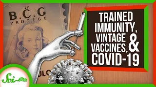 Could an Old Vaccine Help Against COVID-19?