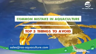 Navigating Success in Aquaculture: Avoiding Common Pitfalls for Sustainable Farming