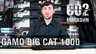 Gamo Big Cat 1000, установка газовой пружины, замена манжеты, стрельба через "хрон"