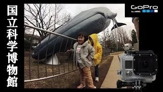 国立科学博物館に行く National Museum of Nature and Science,Tokyo