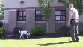 Bend dog helps sniff out drugs