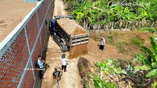 Filling Land Size 20 x 20 Meter By 5 Ton Dump Truck Supply Soil And Bulldozer Komatsu Pusher Soil