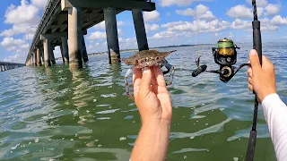 Fishing BLUE CRAB For a Bridge MONSTER