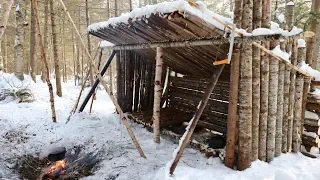 Surviving  24 hours in a Primitive Survival Shelter!