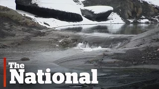 Glacier melt in B.C. at 'shocking' levels