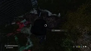 DayZ terre selvagge - Incontri ravvicinati indesiderati