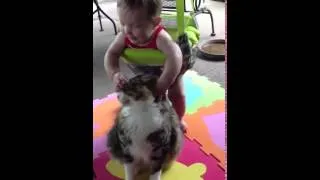 Кот воспитывает ребенка