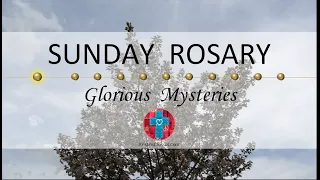 Sunday Rosary • Glorious Mysteries of the Rosary ❤️ April 21, 2024 VIRTUAL ROSARY - MEDITATION