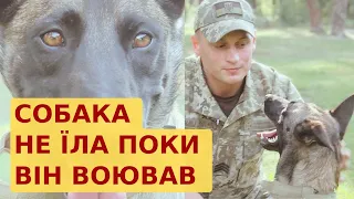 Собача вірність.Поки кінолог рік воював його вівчарка відмовлялася їсти.