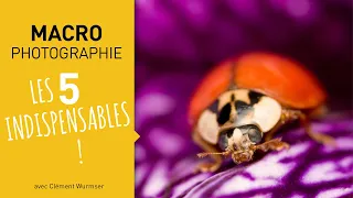 Tuto photo macro : les 5 indispensables