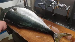 Giant  Giant Amberjack Sashimi Making (Sawara Sushi)  Best Japanese Sushi Skills