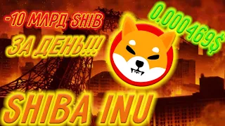 СЖИНАГИЕ 10 МИЛЛИАРДОВ SHIB ВСЕГО ЗА ДЕНЬ! СКОЛЬКО БУДЕТ СОЖЖЕНО SHIBA INU ЗА ФЕВРАЛЬ?SHIBA INU