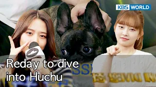 "Huchu DIVE" by the Kong Sisters [Dogs are incredible : EP.146-1] | KBS WORLD TV 221101