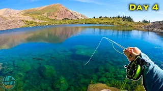 Fly Fishing the BEST LAKE IN THE WORLD?? (Big Trout Everywhere)