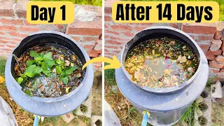 How To Make Free Golden Liquid Fertilizer From Almost Anything | Get Amazing Results | Under 14 Days