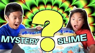Secret Ingredients Mystery Slime #elmerswhatif Challenge Using Elmers Glue & Elmers Magical Liquid