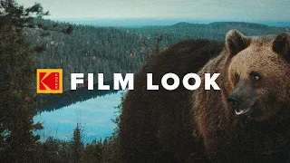 How To Get The CINEMATIC LOOK For Your NATURE FILMS