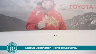 Capsule Destination - Fjord du Saguenay