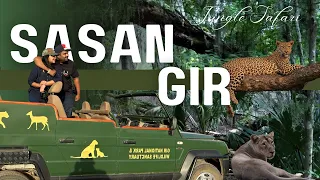 Gir Jungle Safari | Devaliya Safari | Gir National Park | Sterling Gir | Tiger and Leopard Sighting