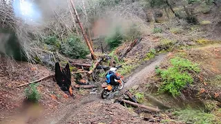 Middle Creek OHV to Penny Pines Rider with 20+ lb chainsaw in front & I can barely keep up! 🤣