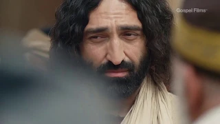 Gospel of Mark - Chapter 12 | LUMO Gospel Films