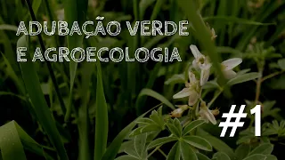 Adubação Verde e Agroecologia #1