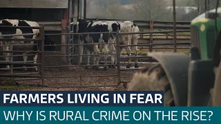 Farmers fearful as criminal gangs drive machinery black market | ITV News