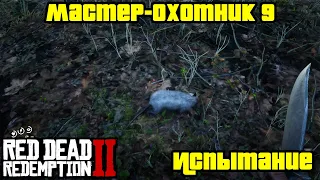 Прохождение RDR 2 на 100% - Испытание: Мастер-охотник 9 (Глава 2 - Нагорье Подкова)