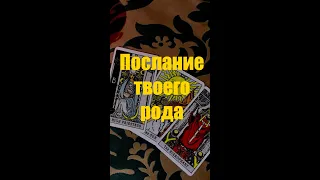 🤲Послание твоего Рода, что тебе нужно знать прямо сейчас!🙏🙏🙏 #shorts