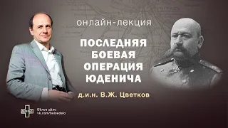 Последняя боевая операция Юденича. Историк Василий Цветков