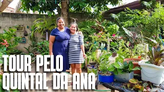 TOUR PELO QUINTAL DA ANA: UM QUINTAL LINDO CHEIO DE MEMÓRIAS AFETIVAS | PLANTAS DA VÓ | FLOR DE MAIO