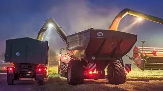 Claas Lexion 770 TT Combine Harvester and J&M Grain Cart | Wheat Harvest 2019