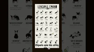 Lenguaje de los perros 🐕