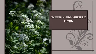 60 Вышивальный дневник 13. Три финиша и один старт, продвигаю процессы и подкармливаю белочек )