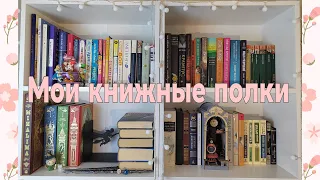 МОИ КНИЖНЫЕ ПОЛКИ 📚💙 150 КНИГ