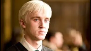 Draco and Y/N brother sister story!